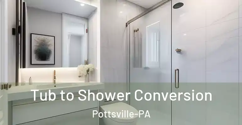 inner Bathroom imggen Tub to Shower Conversion Pottsville-PA