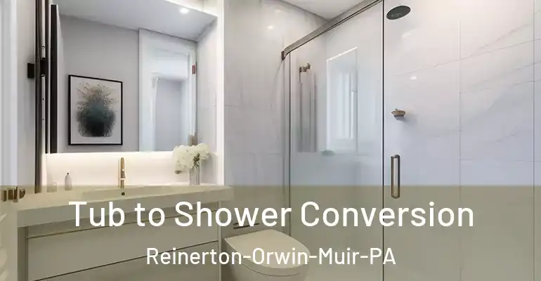 inner Bathroom imggen Tub to Shower Conversion Reinerton-Orwin-Muir-PA