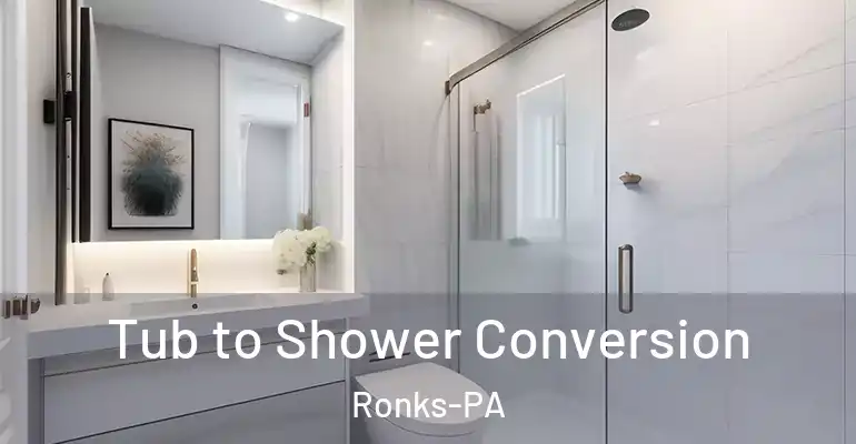inner Bathroom imggen Tub to Shower Conversion Ronks-PA