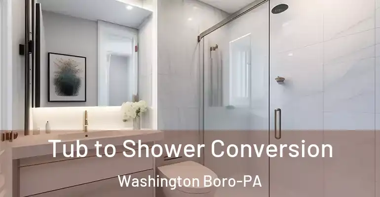 inner Bathroom imggen Tub to Shower Conversion Washington Boro-PA