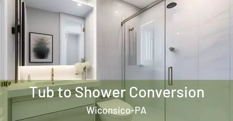 inner Bathroom imggen Tub to Shower Conversion Wiconsico-PA