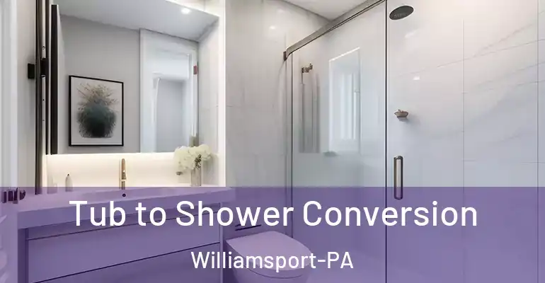inner Bathroom imggen Tub to Shower Conversion Williamsport-PA