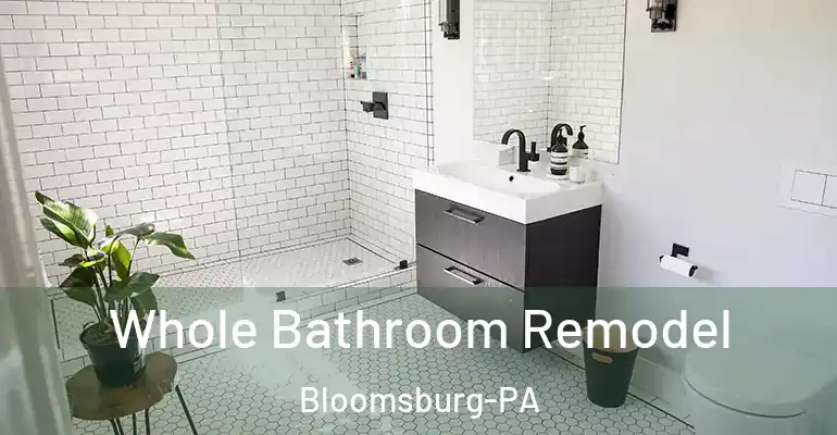 inner Bathroom imggen Whole Bathroom Remodel Bloomsburg-PA