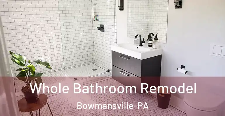 inner Bathroom imggen Whole Bathroom Remodel Bowmansville-PA