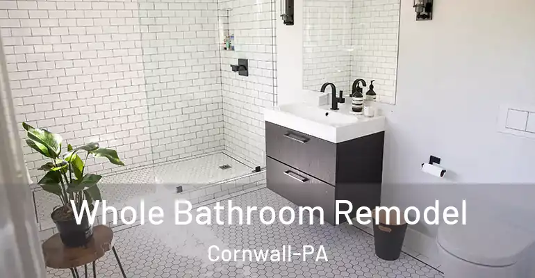 inner Bathroom imggen Whole Bathroom Remodel Cornwall-PA