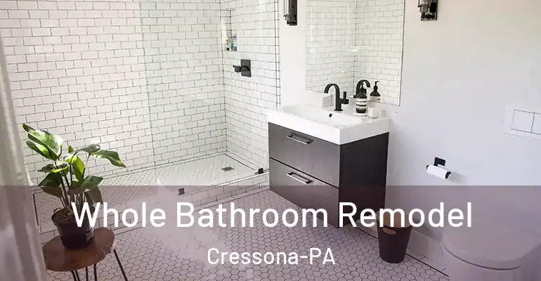 inner Bathroom imggen Whole Bathroom Remodel Cressona-PA