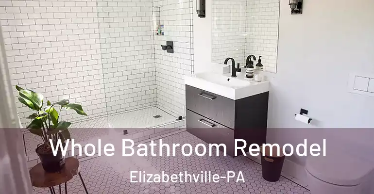 inner Bathroom imggen Whole Bathroom Remodel Elizabethville-PA