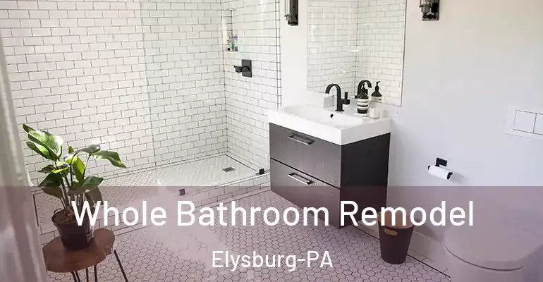 inner Bathroom imggen Whole Bathroom Remodel Elysburg-PA