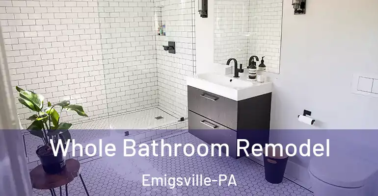 inner Bathroom imggen Whole Bathroom Remodel Emigsville-PA