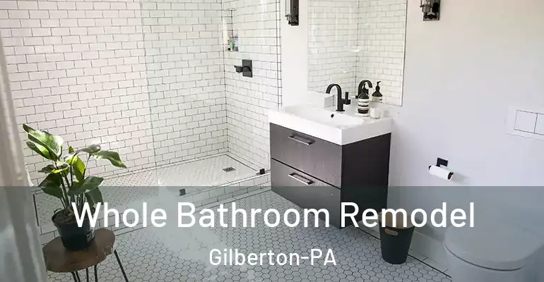 inner Bathroom imggen Whole Bathroom Remodel Gilberton-PA