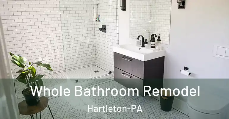 inner Bathroom imggen Whole Bathroom Remodel Hartleton-PA