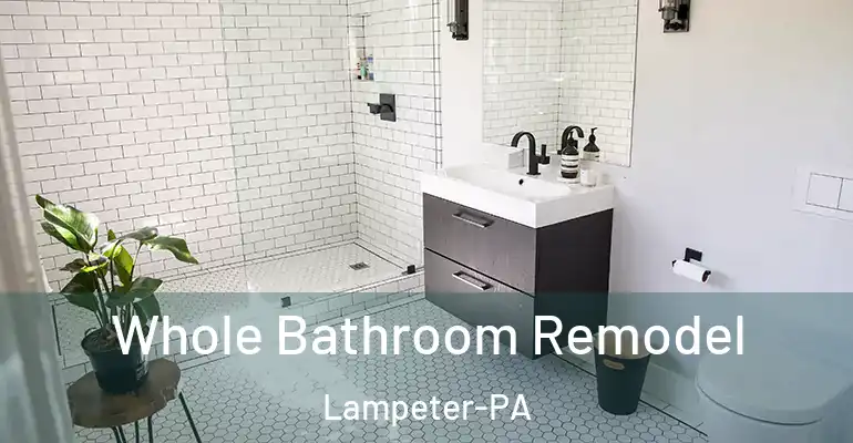 inner Bathroom imggen Whole Bathroom Remodel Lampeter-PA