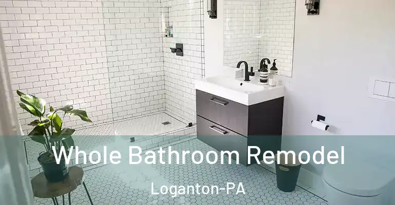 inner Bathroom imggen Whole Bathroom Remodel Loganton-PA