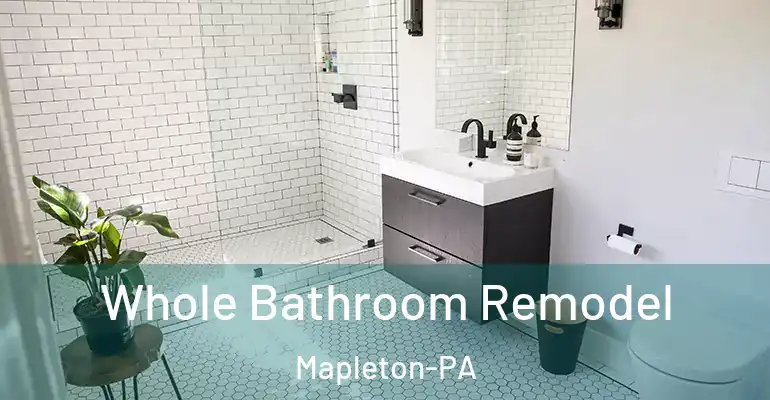 inner Bathroom imggen Whole Bathroom Remodel Mapleton-PA