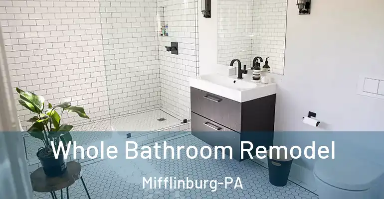 inner Bathroom imggen Whole Bathroom Remodel Mifflinburg-PA
