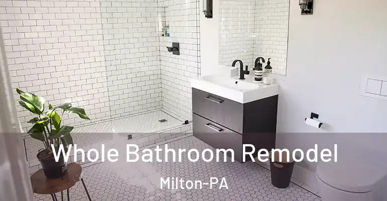inner Bathroom imggen Whole Bathroom Remodel Milton-PA