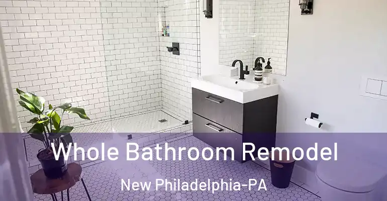 inner Bathroom imggen Whole Bathroom Remodel New Philadelphia-PA