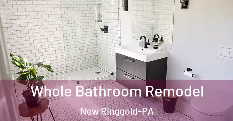 inner Bathroom imggen Whole Bathroom Remodel New Ringgold-PA