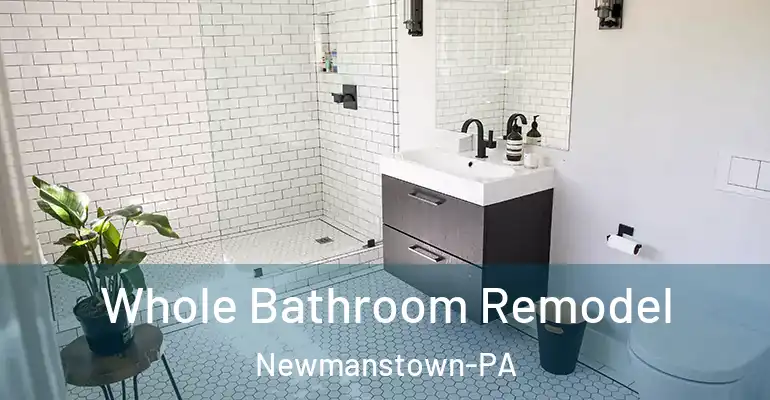 inner Bathroom imggen Whole Bathroom Remodel Newmanstown-PA