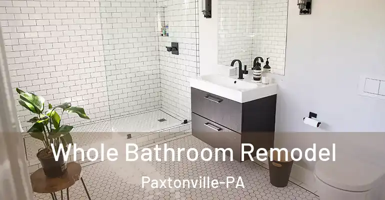 inner Bathroom imggen Whole Bathroom Remodel Paxtonville-PA