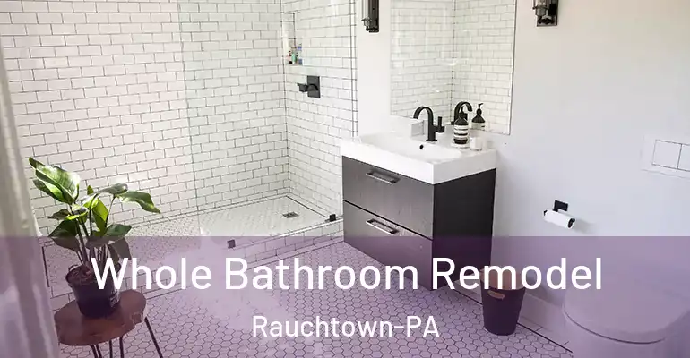 inner Bathroom imggen Whole Bathroom Remodel Rauchtown-PA