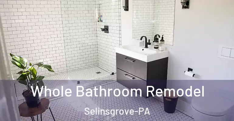 inner Bathroom imggen Whole Bathroom Remodel Selinsgrove-PA