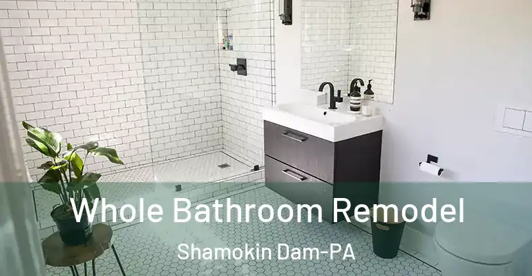 inner Bathroom imggen Whole Bathroom Remodel Shamokin Dam-PA