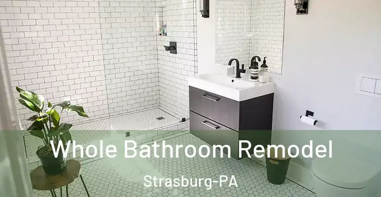 inner Bathroom imggen Whole Bathroom Remodel Strasburg-PA