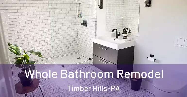 inner Bathroom imggen Whole Bathroom Remodel Timber Hills-PA