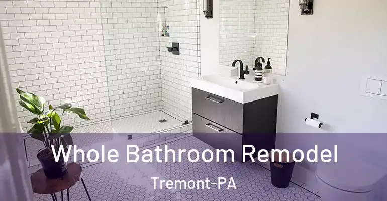 inner Bathroom imggen Whole Bathroom Remodel Tremont-PA