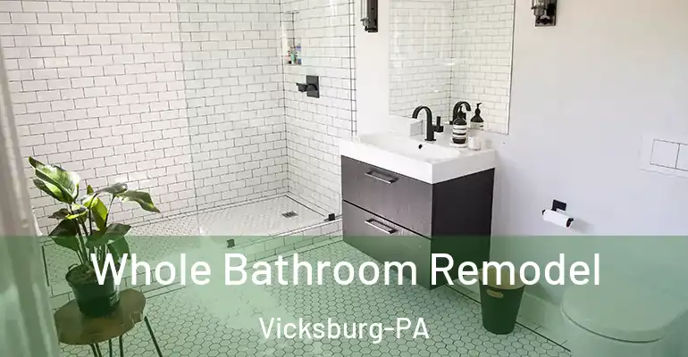 inner Bathroom imggen Whole Bathroom Remodel Vicksburg-PA