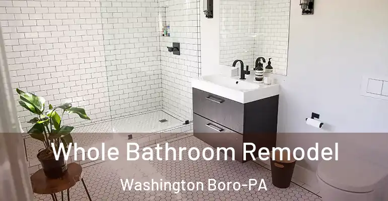 inner Bathroom imggen Whole Bathroom Remodel Washington Boro-PA